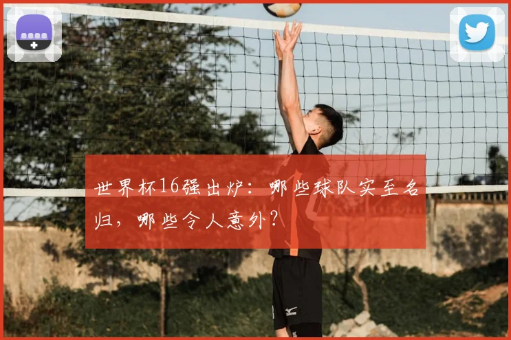 世界杯16强出炉：哪些球队实至名归，哪些令人意外？