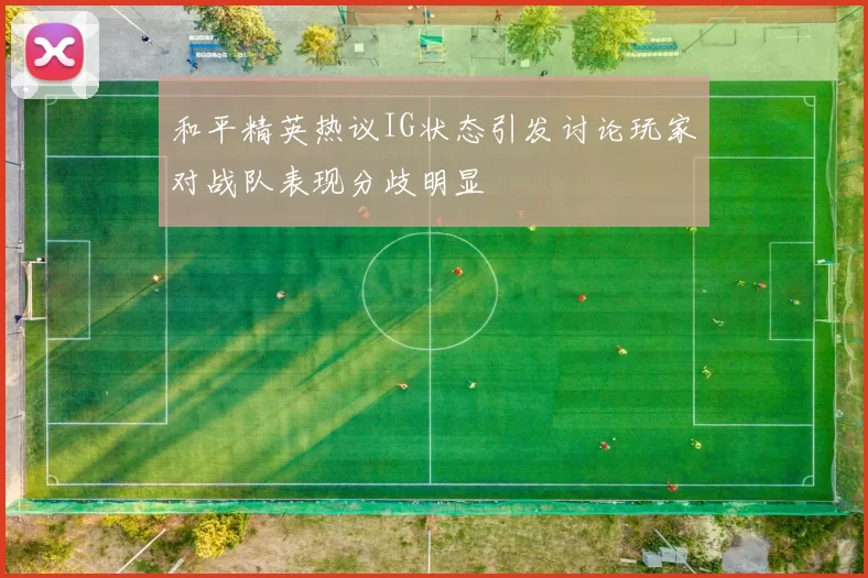 和平精英热议IG状态引发讨论玩家对战队表现分歧明显
